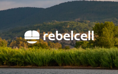 Rebelcell prizes